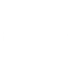 festo company logo